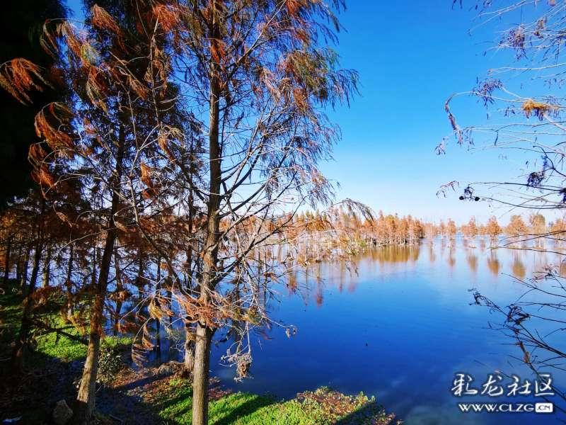 逃离撒丁岛