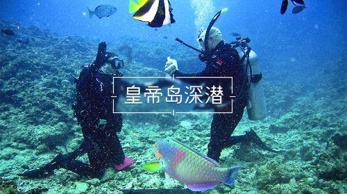 数胎动时宝宝不动怎么办